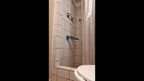 sologirl81 online show from February 6, 5:38 pm