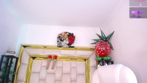 Snapshot of sophi_gray chatting on December 29, 12:01 pm Shophi online show from December 29, 12:01 pm