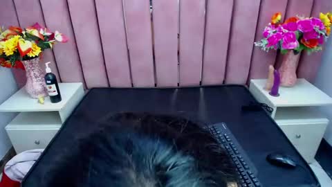 sophi_hardd online show from December 13, 10:13 pm