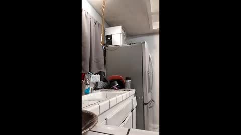 sophia1lux online show from December 15, 1:43 am