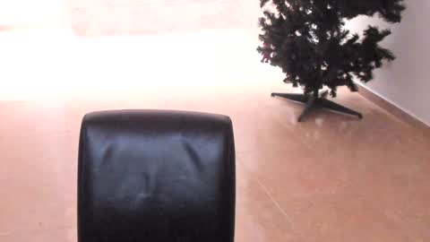 Snapshot of sophia_harry chatting on December 14, 1:38 pm sophia CM online show from December 14, 1:38 pm