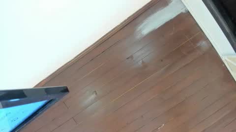 Snapshot of sophiee09_ chatting on November 3, 2:18 pm Sophie  online show from November 3, 2:18 pm