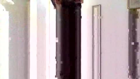 Sorfo online show from January 15, 10:31 am