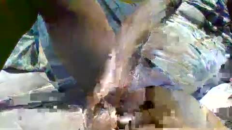 source1012 online show from January 16, 11:59 pm