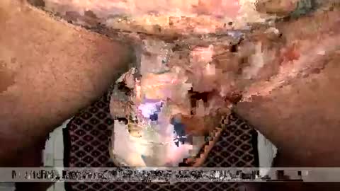 space Dog25 online show from January 12, 2:39 am