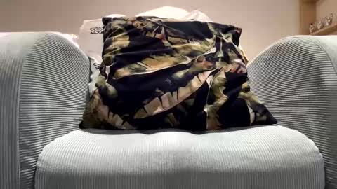 Dany online show from February 11, 11:54 pm