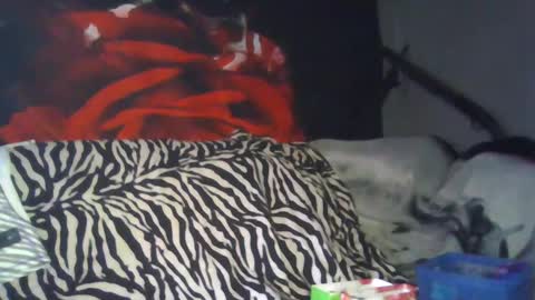 Daddy  His Splash Queen online show from September 26, 8:13 pm