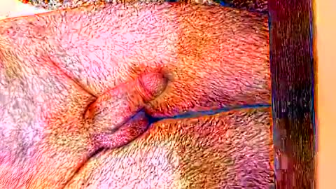 sprayx online show from February 8, 11:35 am