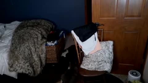 Snapshot of spun_redneck chatting on March 31, 9:21 am Spun Redneck online show from March 31, 9:21 am