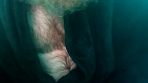 spunfuncumming online show from July 10, 10:07 am