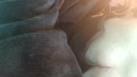spunfuncumming online show from July 19, 6:55 pm