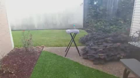 srtxshow online show from October 21, 2:07 pm