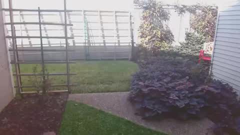 srtxshow online show from November 16, 8:47 pm