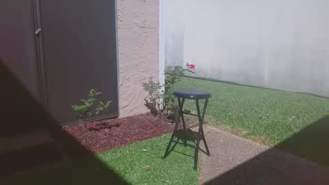 srtxshow online show from March 14, 4:34 pm