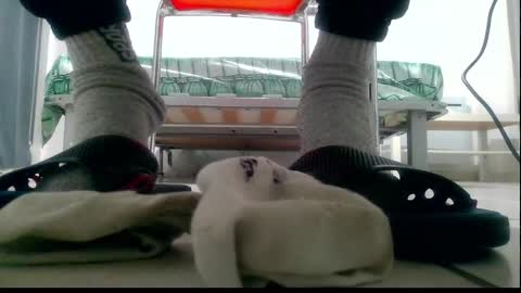 ssenzo online show from December 10, 9:54 pm