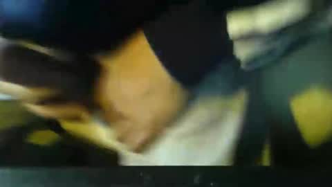 Snapshot of stalloneumbro chatting on November 2, 12:40 pm CIPPALIPPA online show from November 2, 12:40 pm