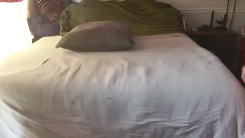 staloney online show from February 10, 3:49 pm