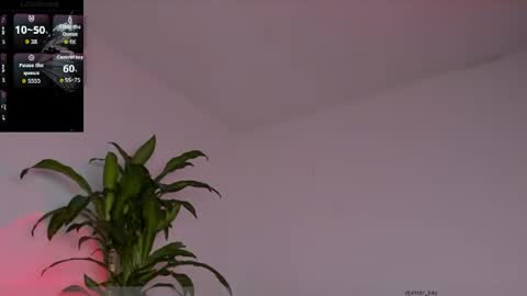 kay online show from July 27, 3:19 pm