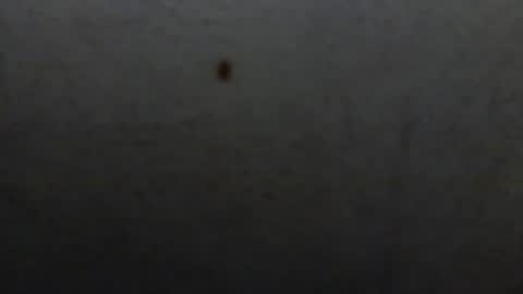 starguy600 online show from January 11, 7:46 am