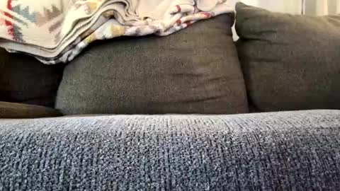 starr3095 online show from November 4, 3:22 pm