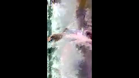 Snapshot of starrywhispers chatting on March 28, 11:21 am StarryWhispers online show from March 28, 11:21 am