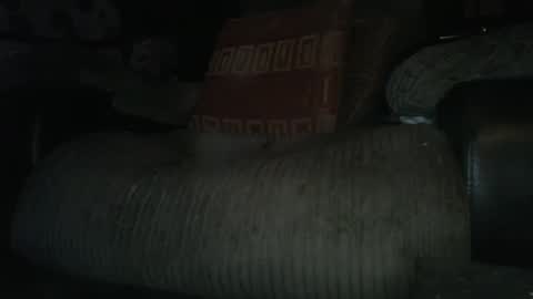 ste_wulf online show from March 4, 1:34 am