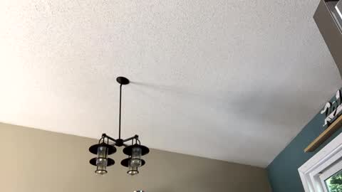 Snapshot of steakman007 chatting on February 23, 6:01 pm Steakman online show from February 23, 6:01 pm