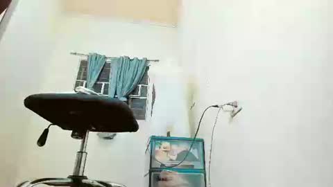 stefania online show from January 8, 11:43 am