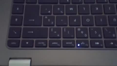 steflab online show from November 14, 10:36 am