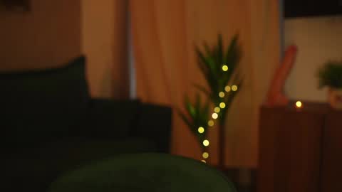 Stella online show from January 8, 7:03 am