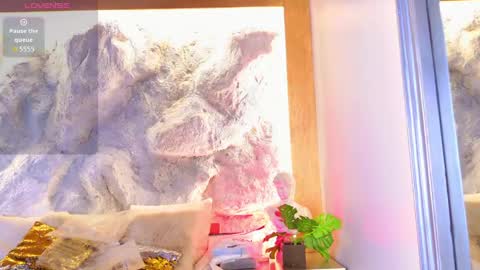 Snapshot of stellaciel_ chatting on April 22, 5:58 pm S T E L L A online show from April 22, 5:58 pm