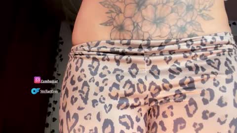 Snapshot of stellart_ chatting on October 23, 4:45 am stellart_ online show from October 23, 4:45 am