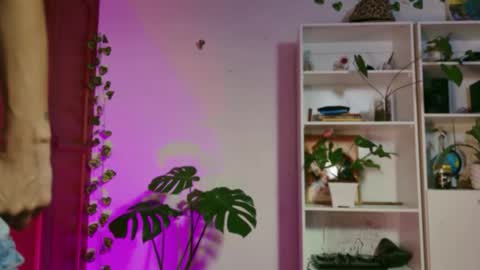 Snapshot of stellart_ chatting on November 20, 3:50 am stellart_ online show from November 20, 3:50 am