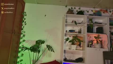 Snapshot of stellart_ chatting on December 3, 1:57 am stellart_ online show from December 3, 1:57 am