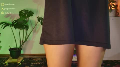 Snapshot of stellart_ chatting on December 5, 2:20 am stellart_ online show from December 5, 2:20 am