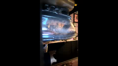 steph9876543212 online show from February 11, 5:01 am