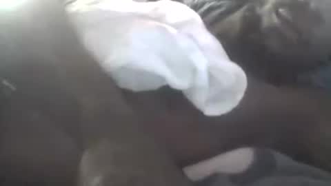 steve6247 online show from July 9, 7:40 pm