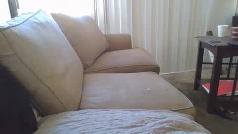 Snapshot of steven903625 chatting on December 17, 7:04 pm steven903625 online show from December 17, 7:04 pm