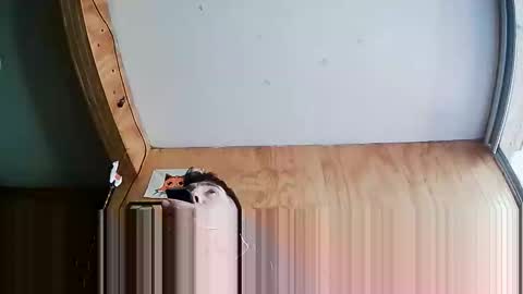 Snapshot of stevenbrookless chatting on October 4, 7:23 pm Steve online show from October 4, 7:23 pm