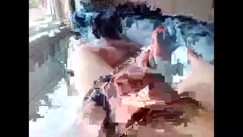 stevie_y19 online show from February 14, 9:34 am