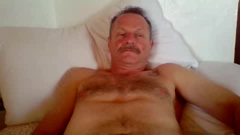 steviehard7 online show from February 4, 9:31 pm