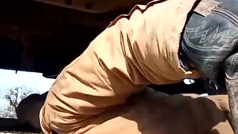 Oval2022 online show from January 1, 6:16 pm