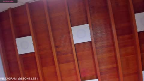 Stone Lee  online show from January 22, 1:53 pm