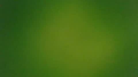 stonedandlovingit online show from March 3, 1:42 pm