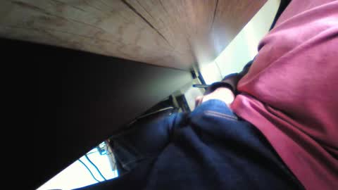 shrek online show from November 17, 11:54 pm