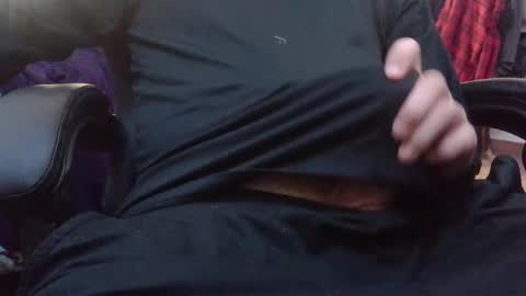 stray cat online show from December 16, 7:52 pm