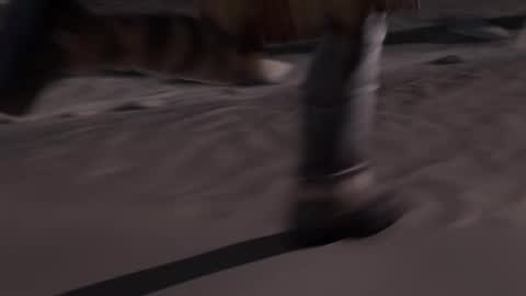 Snapshot of stream247_v2 chatting on January 15, 10:09 am stream247_v2 online show from January 15, 10:09 am