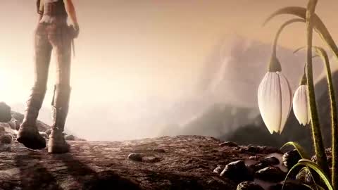 stream247_v2 online show from February 13, 1:07 pm