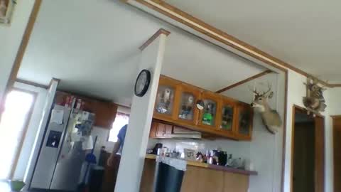 strokenmycock78 online show from March 28, 8:08 pm