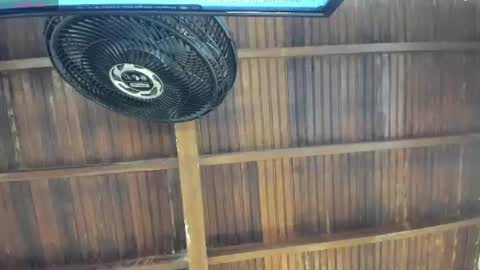 Alexa   online show from August 1, 10:36 am